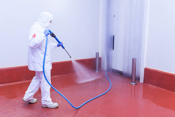 Best Winterizing Services  in Clark Mills, NY